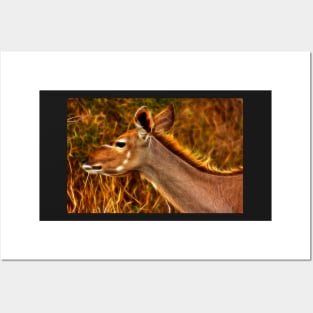 Kruger Kudu Posters and Art